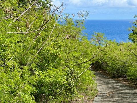 Large 17 acre knoll top property with fantastic water views. Could be divided for several water view home sites with their own road frontage. Gentle hillside. Build your dream home overlooking the Caribbean.
