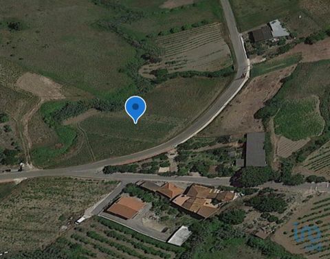 Terreno rústico com 6120m2 localizado na freguesia de Vilar. Terreno com ótimo acesso, sem desnível e numa localização ótima. #ref: 104778