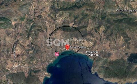Argolis, Ermioni, Dardiza Beach, land plot of approximately 15,000 sqm is available for sale. According to the topographical diagram sent to us in February 2020, the land is flat and suitable for construction according to the current urban planning r...