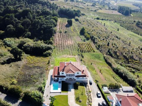 Property comprising a fully equipped villa with a total built area of 968 m2, set in a plot of 8,680 m2 with a vineyard covering around 7,000 m2, garden and swimming pool, located near Bombarral in the western region. The vineyard currently has 3 typ...