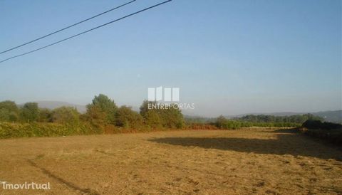 Land with 6 200m2 very well situated with great access. Ref.:3884 ENTREPORTAS, NEW Founded in 2004, the ENTREPORTAS group with more than 15 years, is a leader in real estate mediation in the markets in which it operates, offering a quality and innova...