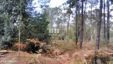 Sale of Bouça, Meixedo, Viana do Castelo. Bouça of 1480 m² with good access. Ref.: VCC13385   FEATURES: Plot Area: 1,480 m2 Area: 1 480 m2 Area: 1 480 m2 Energy Efficiency: Exempt ENTREPORTAS Founded in 2004, the ENTREPORTAS group with more than 15 y...