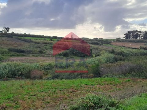 Land with 1620 m2 for construction. Open view and good sun exposure. Close to commerce and services. 15 minutes from Lourinhã, 20 minutes from the beaches and less than 1 hour from Lisbon. For more information or to schedule your visit, contact us on...