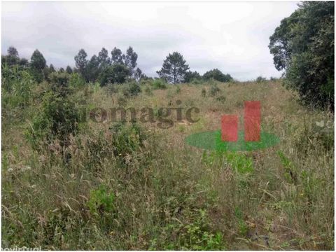 Land with access by agricultural road on dirt, from the village of 'Casais da Boavista' located near the village of Usseira. Land with an area of 1.4 hectares. Excellent opportunity!! Energy Rating: Exempt Land with access by agricultural road on dir...