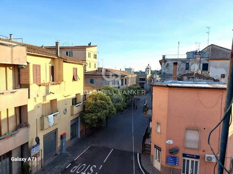LAZIO - VITERBO - PIANSANO APARTMENT IN THE CENTER OF THE TOWN In the small village of Piansano, a municipality very close to Lake Bolsena, which is about ten kilometers away, we find an apartment of about 35 square meters located in the main street ...