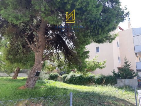 For sale, Land plot Within Building plan, in Chalandri. The Land plot is Εven and Βuildable, For development, With Facade, On Highway, it has 15 m. facade length, 20,4 m. depth, the building factor is 0,8 and the coverage ratio is 0,5%, with a maximu...