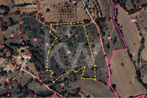 Terreno rústico localizado em Vale de Lousas, em Armação de Pera.Terreno com área de 15830m2, com ruina de cisterna antiga e vestigios de armazém agricola. Este terreno encontra-se localizado em Armação de Pêra, no extremo Norte e fica perto da rede ...