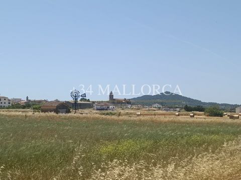 Rustic land with an area of 3,440 m2 with very easy access from the Petra - Manacor road. It is a plot that is totally flat, and without thick vegetation, where cereals were previously planted. Ideal to have your own garden just 35 minutes from Palma...