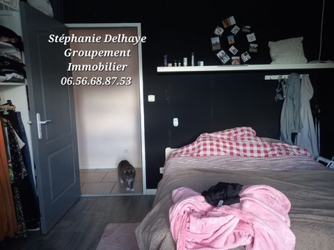 photo no. 11