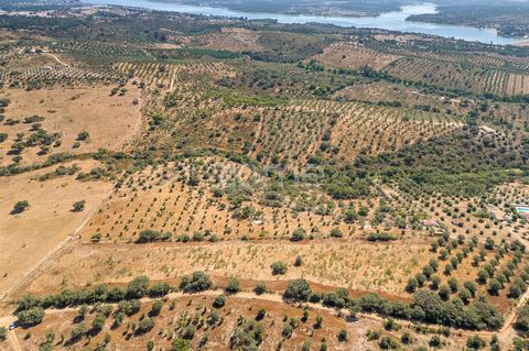 Identificação do imóvel: ZMPT569605 Excelente terreno de 18750m2 muito próximo da Barragem de Montargil com uma casa em ruínas de 86m2 e viabilidade de construção de até 200m2. Localizada na zona rústica da Cardeirinha ligada à estrada N2. Investimen...