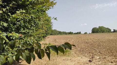 Je vous propose à la vente un terrain constructible de 913m2, viabilisé et borné. Idéalement situé à la campagne sur la commune de Latillé, ce terrain offre un cadre paisible et verdoyant pour la construction de la maison de vos rêves et est égalemen...