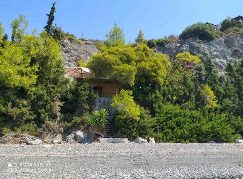 Maison en bord de mer à vendre (8 mètres de la mer) à Eubée, Nerotrivia. La maison a une superficie de 60 m², située sur un terrain de 4000 m², se compose d’un salon, d’une cuisine, d’une chambre et d’une salle de bains. Année de construction – 2007....