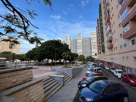 Locaux commerciaux stratégiquement situés à 5 minutes de la plage de Las Canteras et de la zone commerciale de Mesa y López. Il a une superficie au rez-de-chaussée de 250 mètres carrés et dispose d’une mezzanine sur presque toute sa surface (hauts pl...