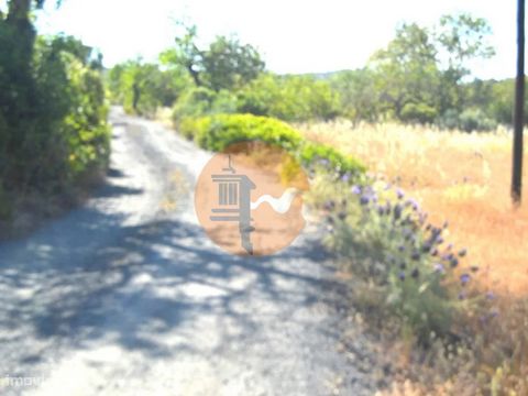 Terrain rustique, relativement plat, avec quelques arbres des terres arides, tels que le caroubier, l’olivier, le chêne vert et autres. Il a été diagnostiqué par un professionnel l’emplacement pour forer un trou avec beaucoup d’eau. Il a un excellent...