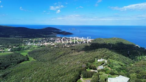 CAP COSE: Exceptional mansion of about 197 m2 on two levels and only 5 minutes from the bay of Macinaggio. This delightful building adjoins a square tower and a Genoese tower, all dating from the 16th century and classified by a Corsican association....