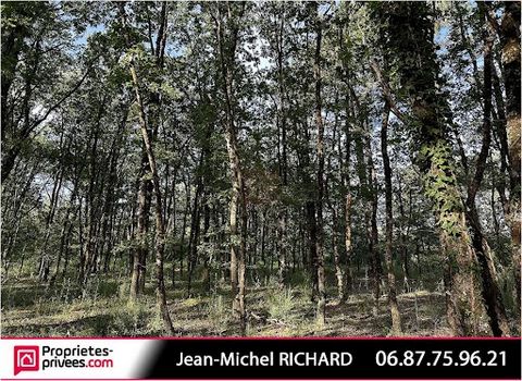 Sologne - bebost land ---------- Jean-Michel RICHARD biedt u een bebost perceel van 7000m² aan Verkoopprijs: 10990 euro **** Volledig bebost land in de buurt van Romorantin, geschikt voor natuurliefhebbers dankzij de bevoorrechte ligging. De houtsoor...