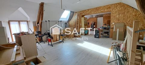 photo no. 13