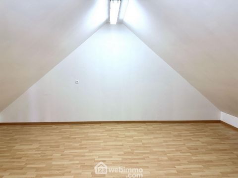 photo no. 11