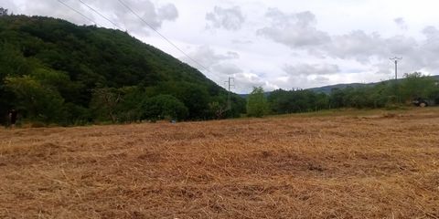 photo no. 5