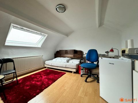 photo no. 7