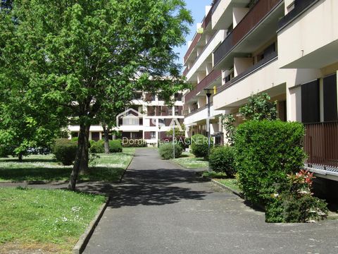 photo no. 8