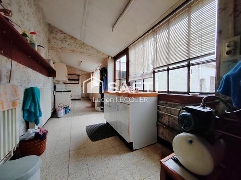 photo no. 12