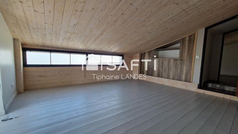 photo no. 13