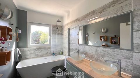 photo no. 11