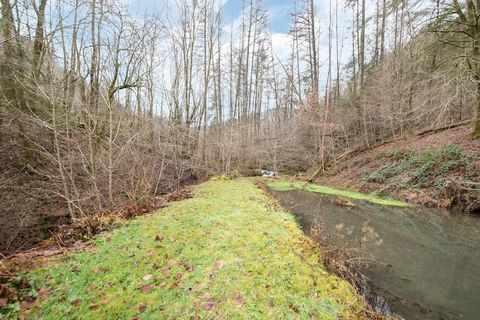 Tucked deep in the Ardennes forest, this historic 18th-century watermill estate in Bohan offers a peaceful and private escape for families, couples, or groups of friends. With a stream running through the property, a sunny terrace, and a charming nat...