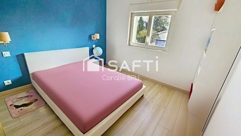 photo no. 12