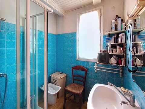 photo no. 6