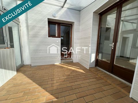 photo no. 11