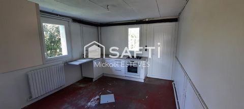 photo no. 11