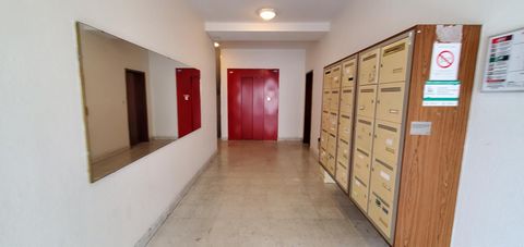 photo no. 2
