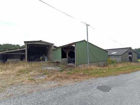 Dpt Morbihan (56), à vendre PLOURAY Hangar