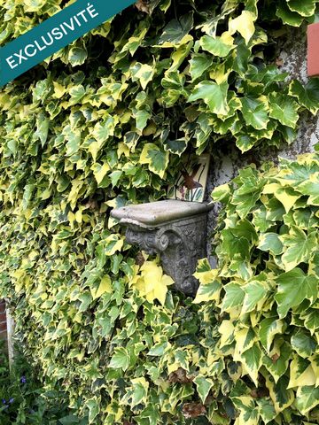 photo no. 18