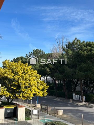 photo no. 11