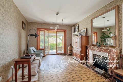 photo no. 2