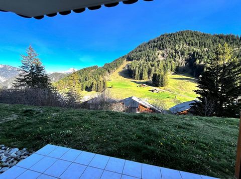 Studio cabine de 23 m² offrant une vue dégagée sur les massif avoisinants