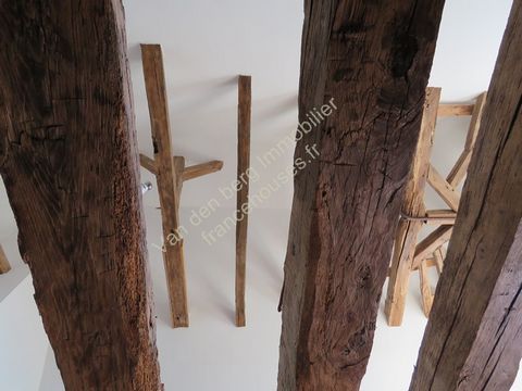 photo no. 20