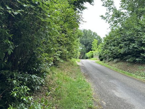 photo no. 4