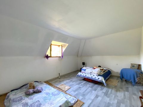 photo no. 11