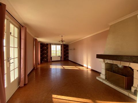 photo no. 7