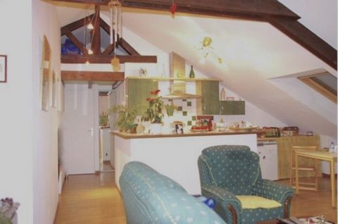 Dpt Marne (51), à vendre REIMS appartement T2 de 85 m² au sol, 56,42m2 carrez