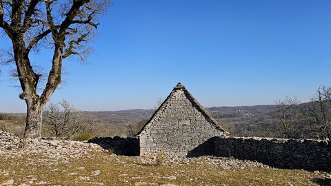 photo no. 6