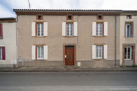 photo no. 6