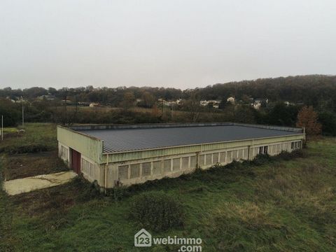 photo no. 10