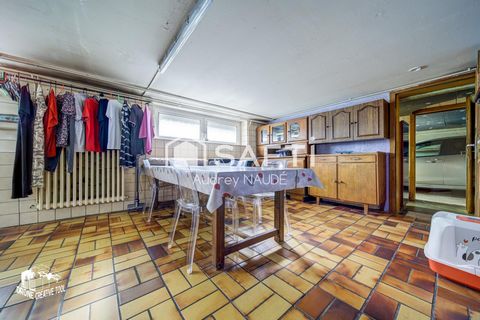 photo no. 12