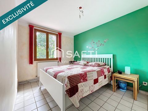 photo no. 11