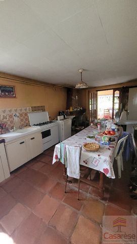 photo no. 11